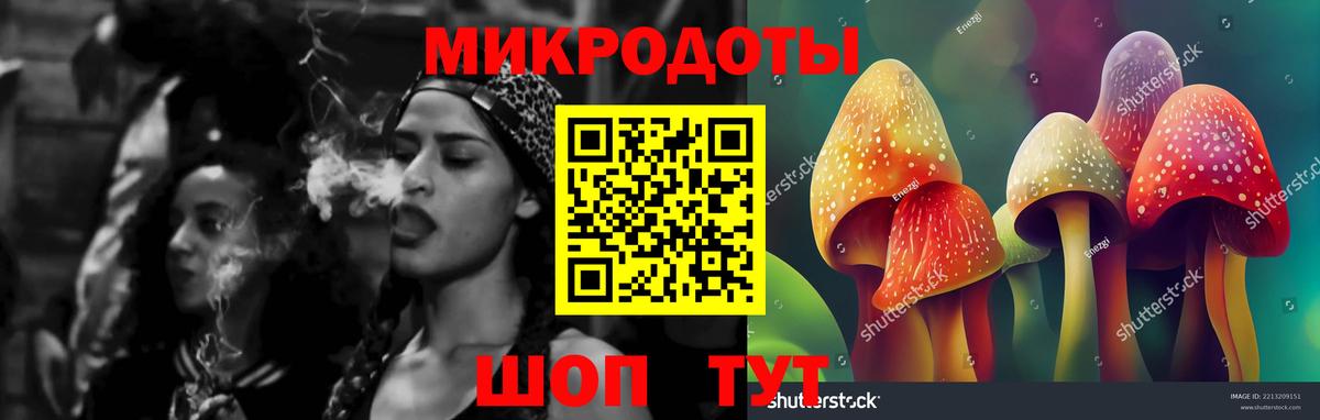 Каменск-Уральский  Псилоцибиновые грибы прущие грибы  Вход с VPN  Галлюциногенные грибы Psilocybe 
